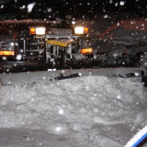 Meet your Posher, George